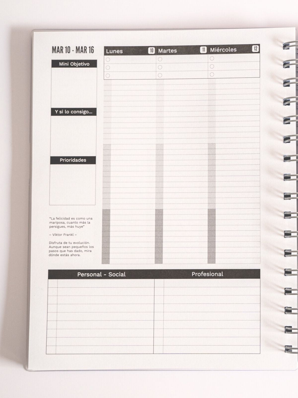 Vision Board Planner - 2025 Semanal