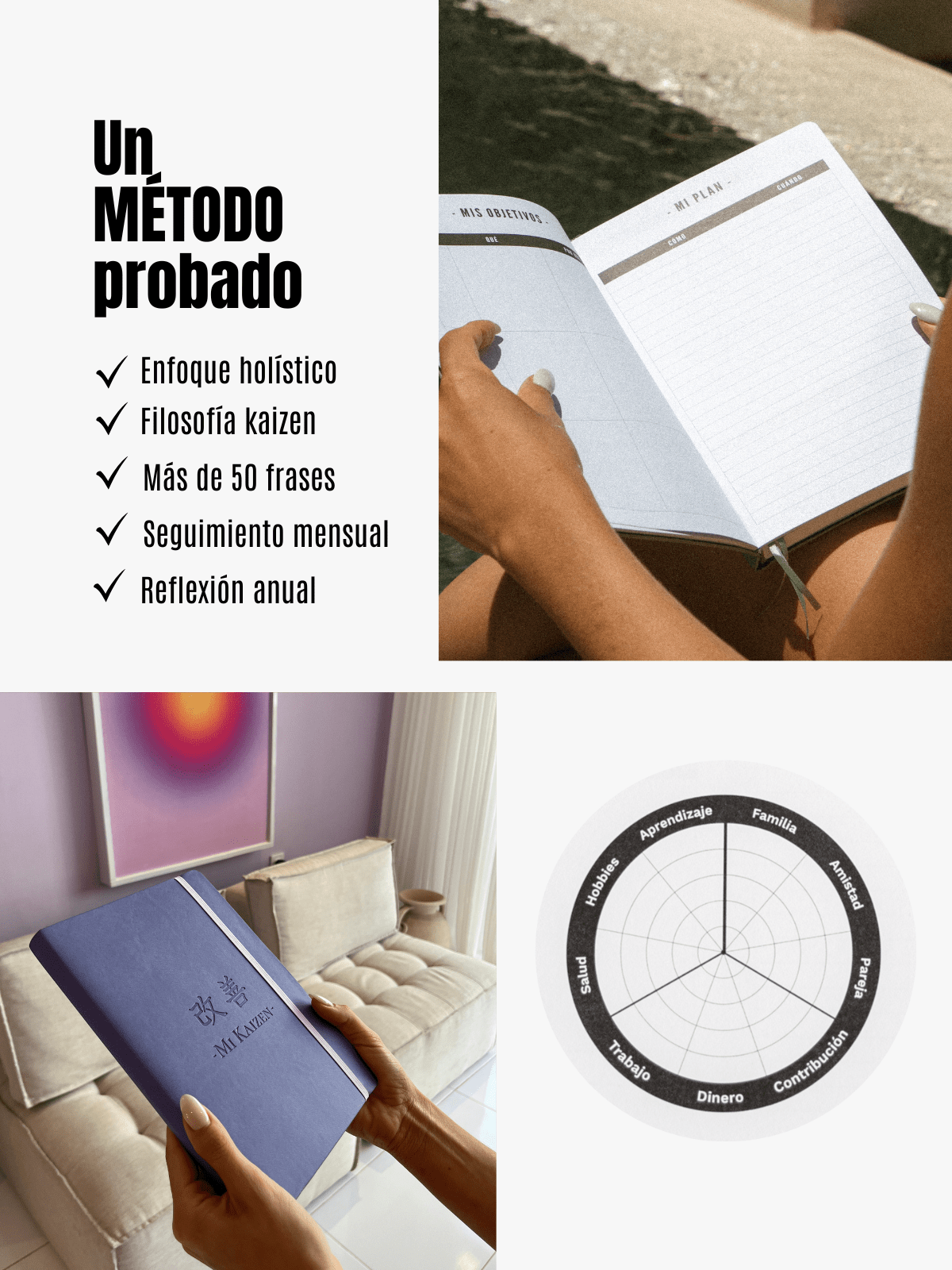 Mi Kaizen 2025 - Plus