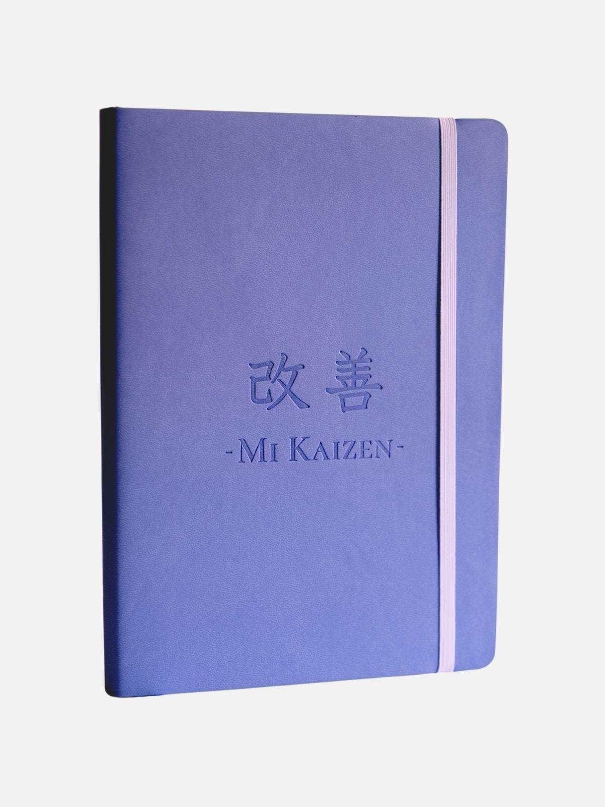 Mi Kaizen 2025 - Original