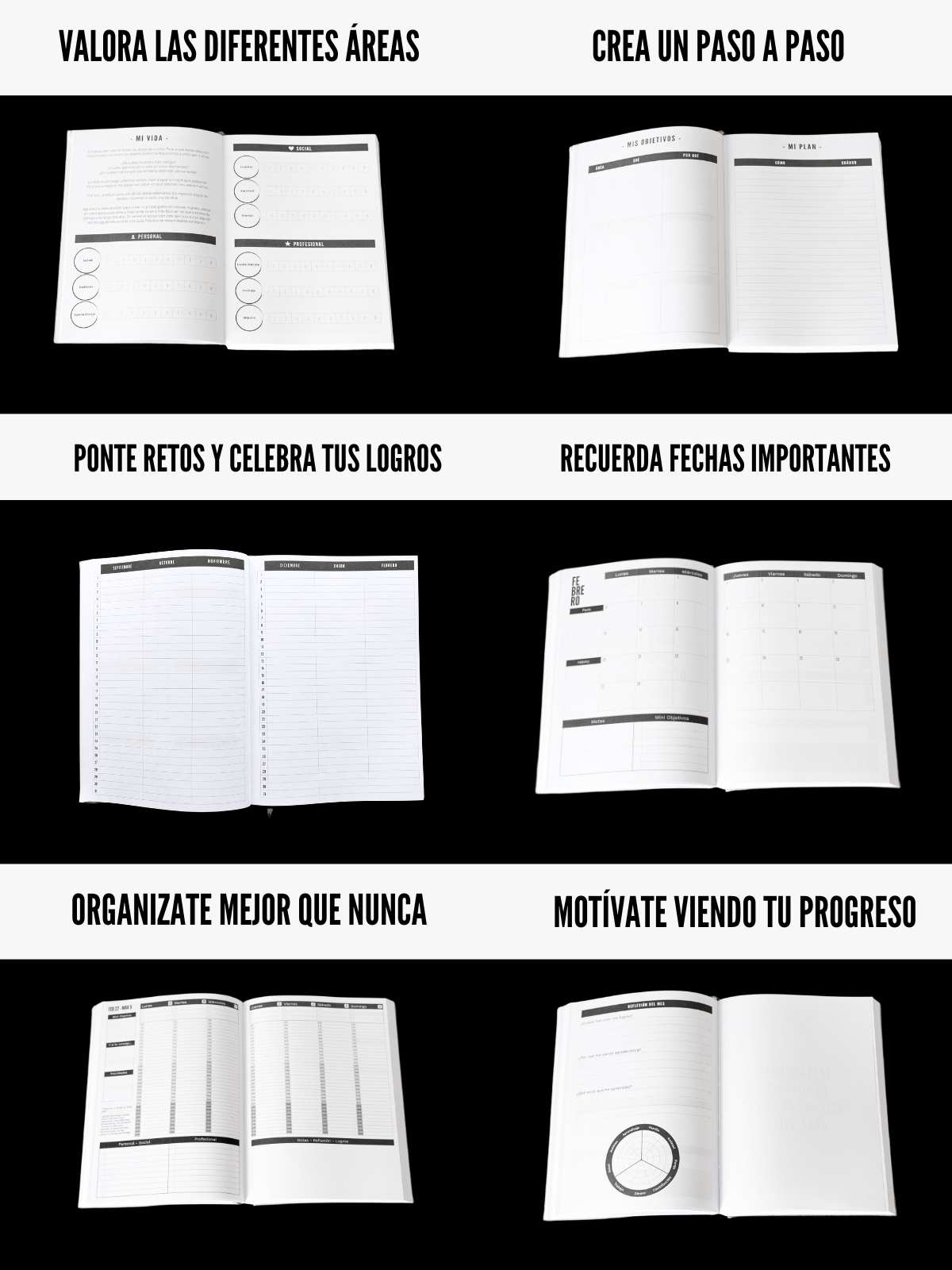 Mi Kaizen 2025 - Plus