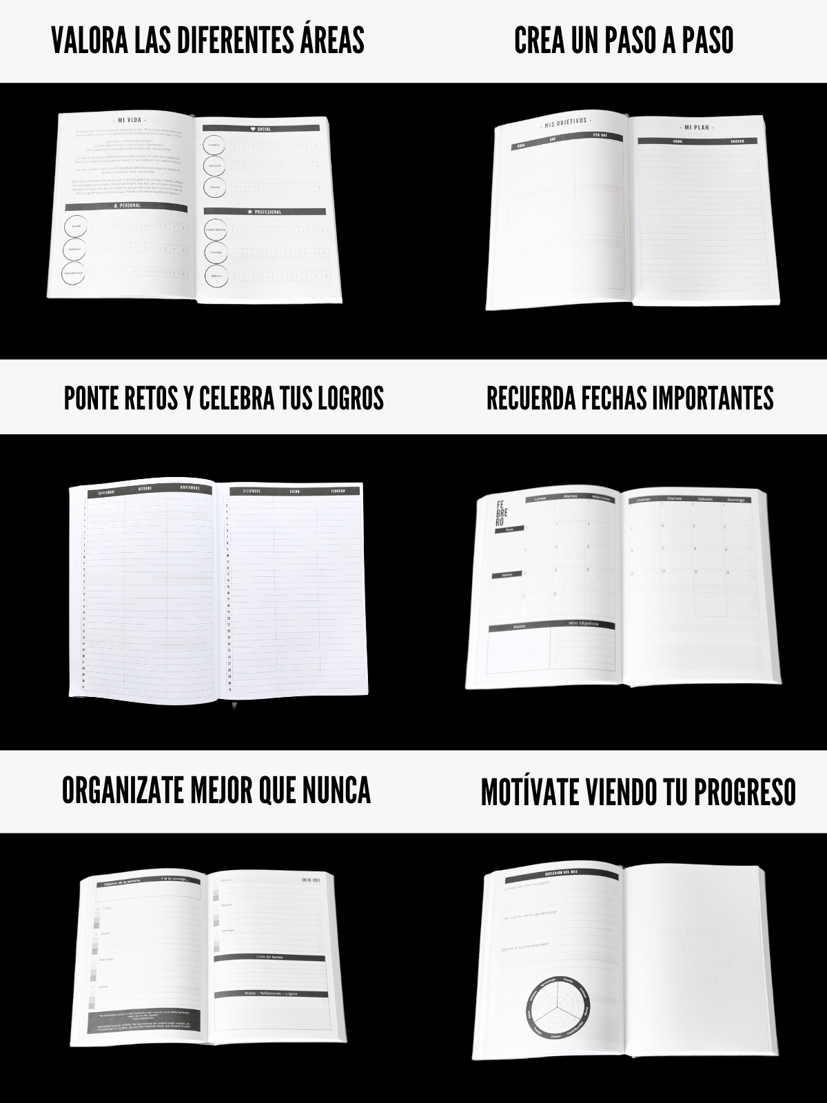 Mi Kaizen 2025 - Original
