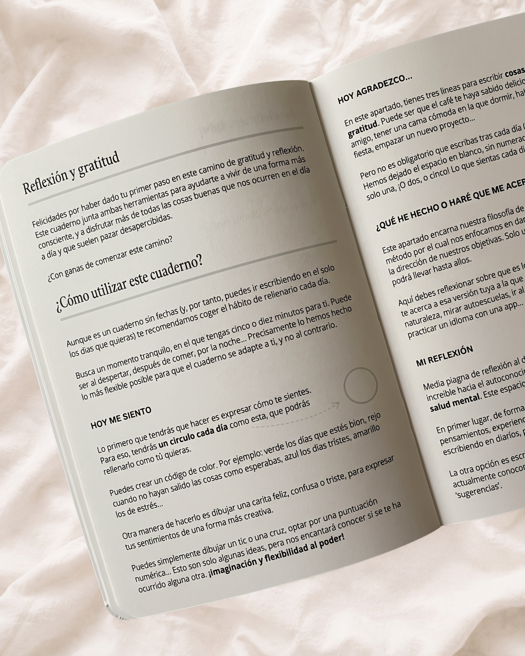 Guía de journaling