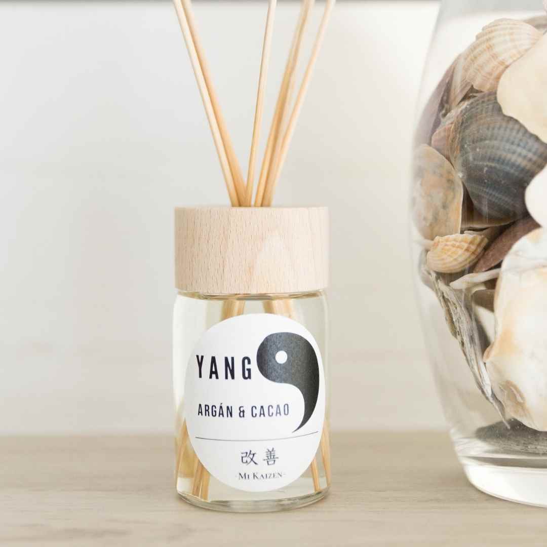 Ambientador Yang - Mi Kaizen
